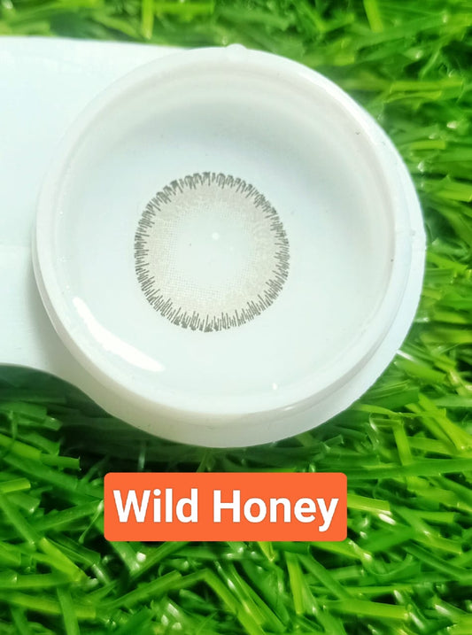 WILD HONEY